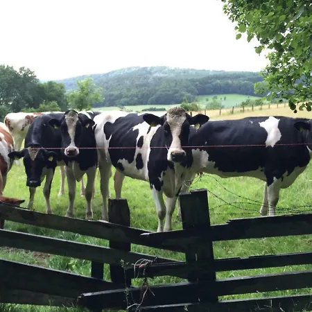 Ferienhof Koch Gospodarstwo agroturystyczne *
